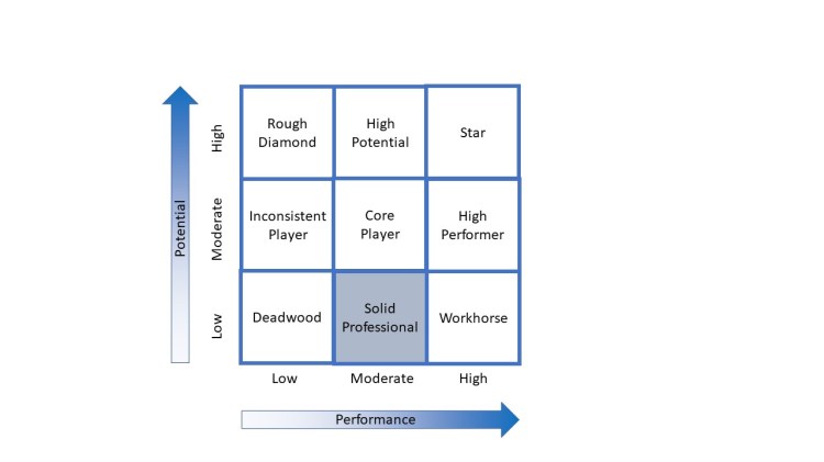 Nine Box Analysis When Performance Meets Potential: The Nine Box Matrix – The Maximum ...