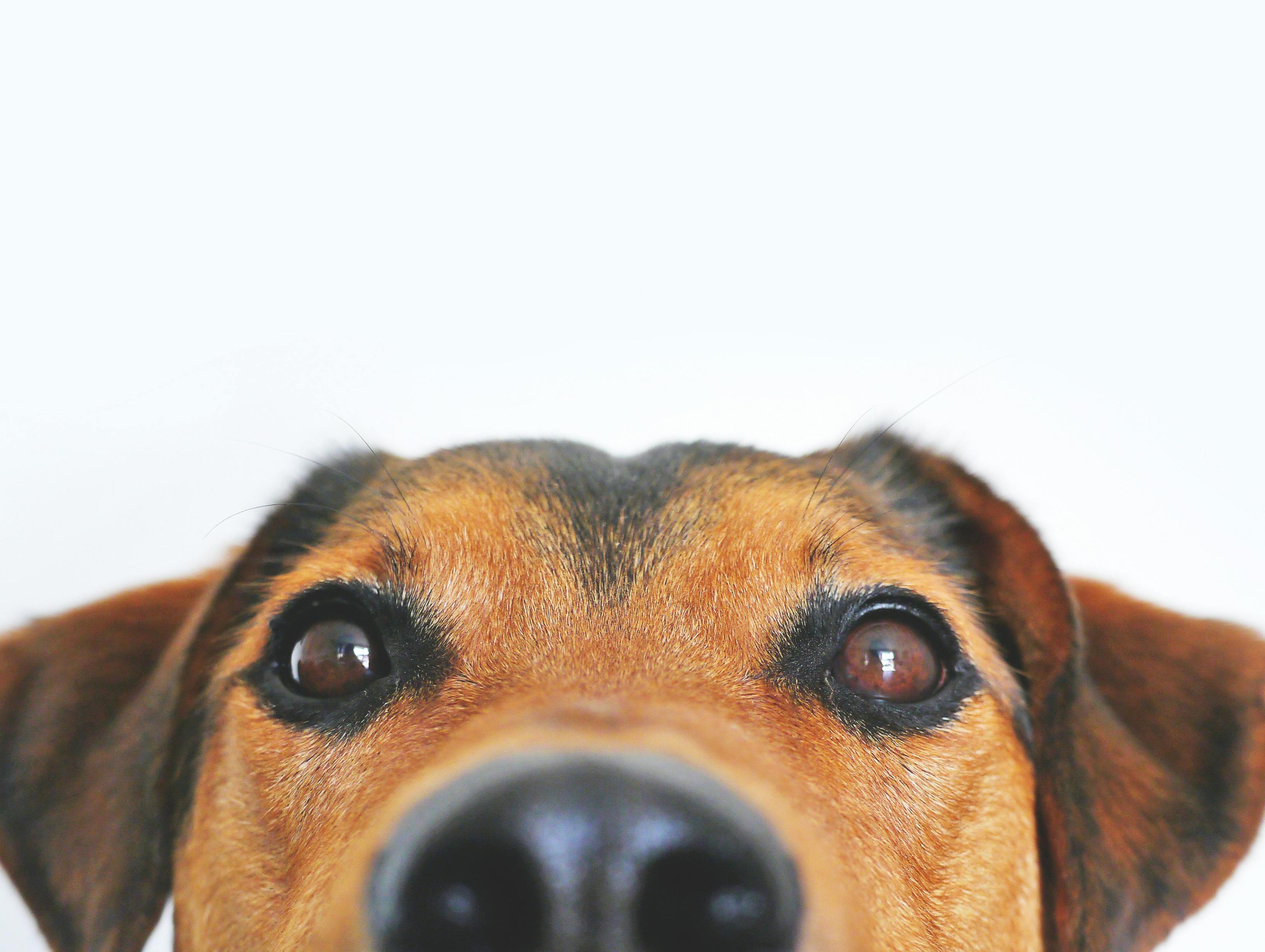 Habits of Exceptionally Likable People - The Maximum Standard