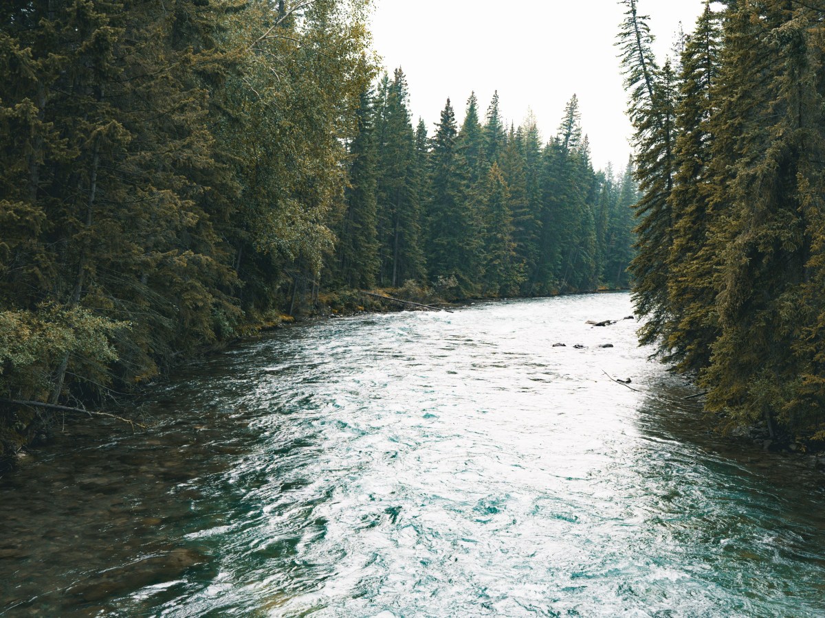 In the Flow: Increasing Performance through&nbsp;Focus